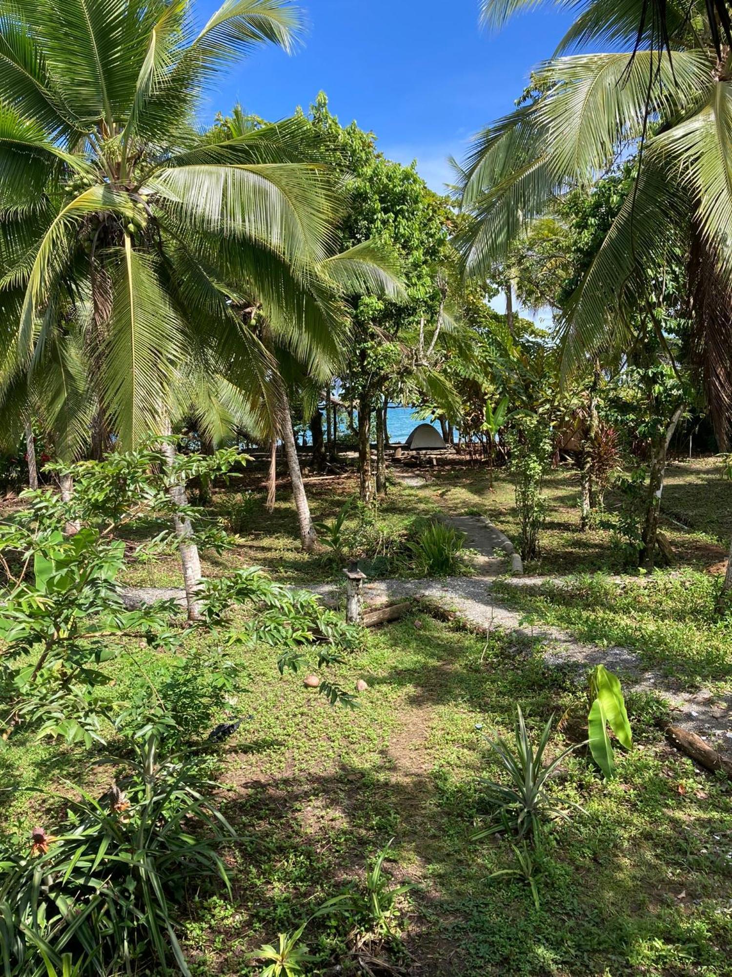 Popochos Beach Eco Lodge Nuqui Exterior photo